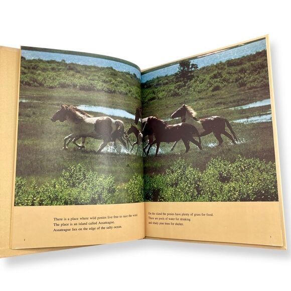 Three Little Indians Wild Ponies Assateague Island National Geographic Books - Picture 14 of 16